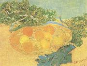 Vincent Van Gogh Still life:Oranges,Lomons and Blue Gloves (nn04) painting